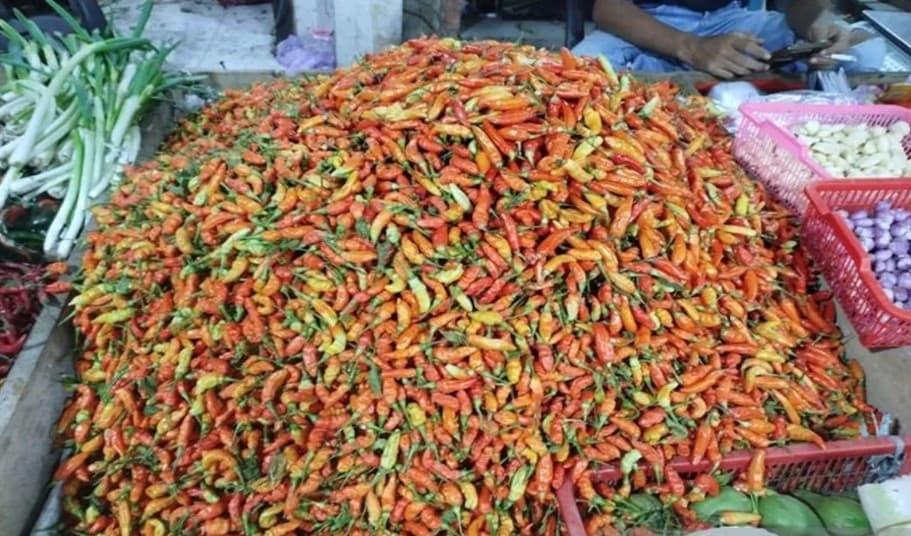 Pemkab Kotawaringin Barat Gandeng 8 Distributor Cabai Rawit Merah untuk Cegah Lonjakan Harga Jelang Nataru