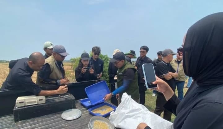 Bulog Lampaui Target Serapan Beras 2026 hingga 4,25 Juta Ton, Sinergi Petani dan Pemerintah Perkuat Ketahanan Pangan Nasional