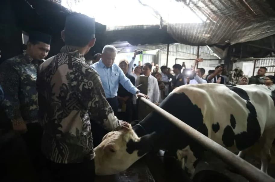 Pemprov Jawa Tengah Dukung Magelang Jadi Sentra Sapi Perah Baru untuk Percepat Swasembada Susu Nasional