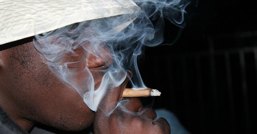 Isap Rumput Sintetis Dicampur Racun Tikus, 3 Orang Tewas dan 100 Pendarahan