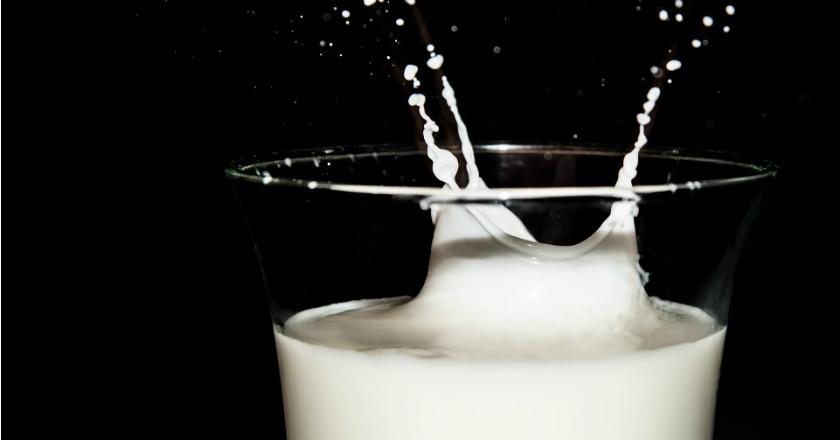 Kenapa Susu Pasteurisasi Harus Segera Diminum Saat Kemasan Sudah Terbuka