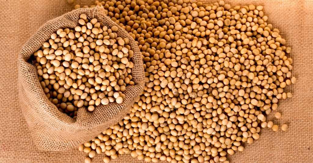 Satgas Pangan Selidiki Penyebab Kelangkaan Kedelai di Pasar