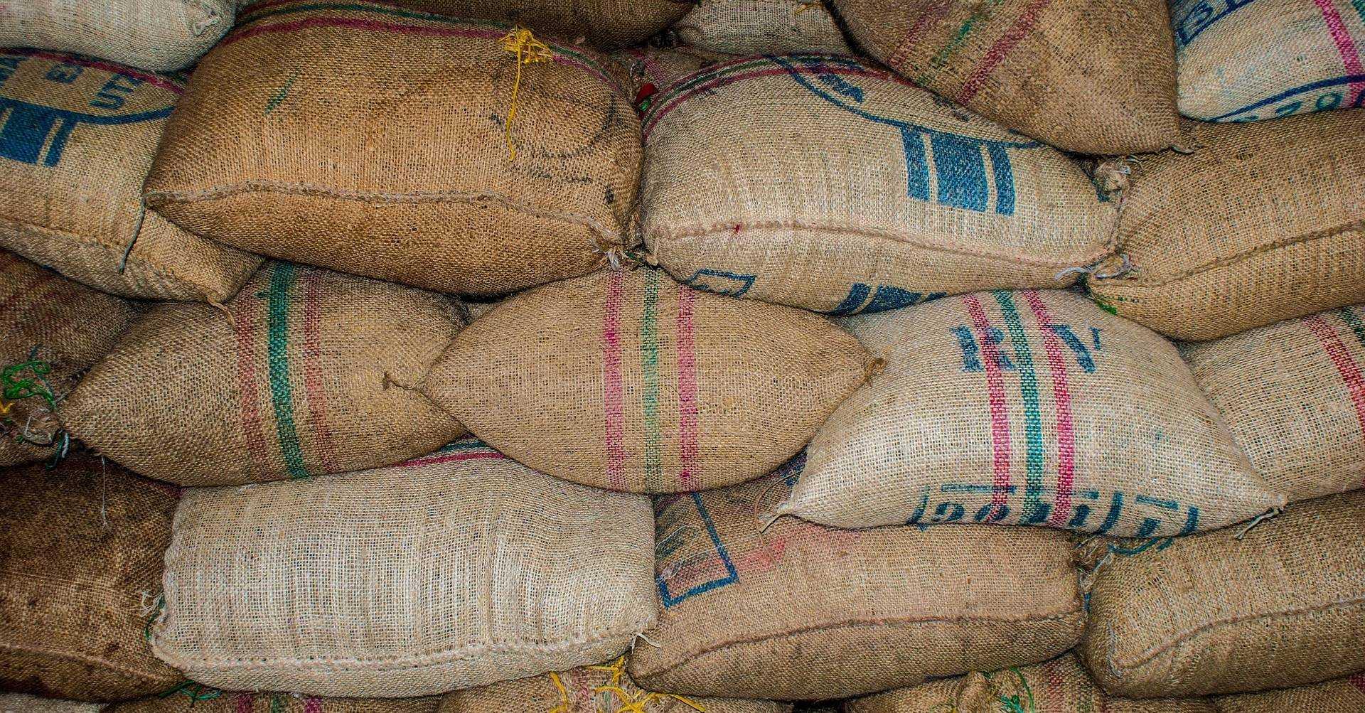 Peneliti UI: Kementan Perlu Diberi Ruang Dalam Kebijakan Impor