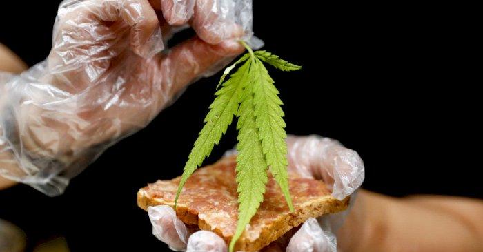 'Roti Cekikikan' dan 'Salad Menari Bahagia' Makanan Mengandung Ganja untuk Menarik Wisatawan di Thailand