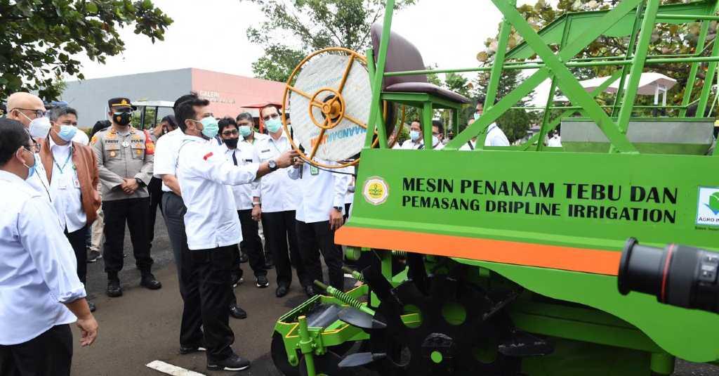Menko Luhut: Food Estate Kesempatan Emas Wujudkan Modernisasi Pertanian