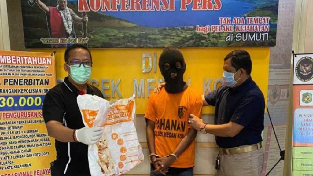 Curi 3 Kucing Himalaya, Pria di Medan Ditangkap Polisi