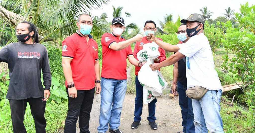 Bersama SOKSI Bamsoet Lepas Burung Hantu Basmi Hama Tikus di Tabanan Bali