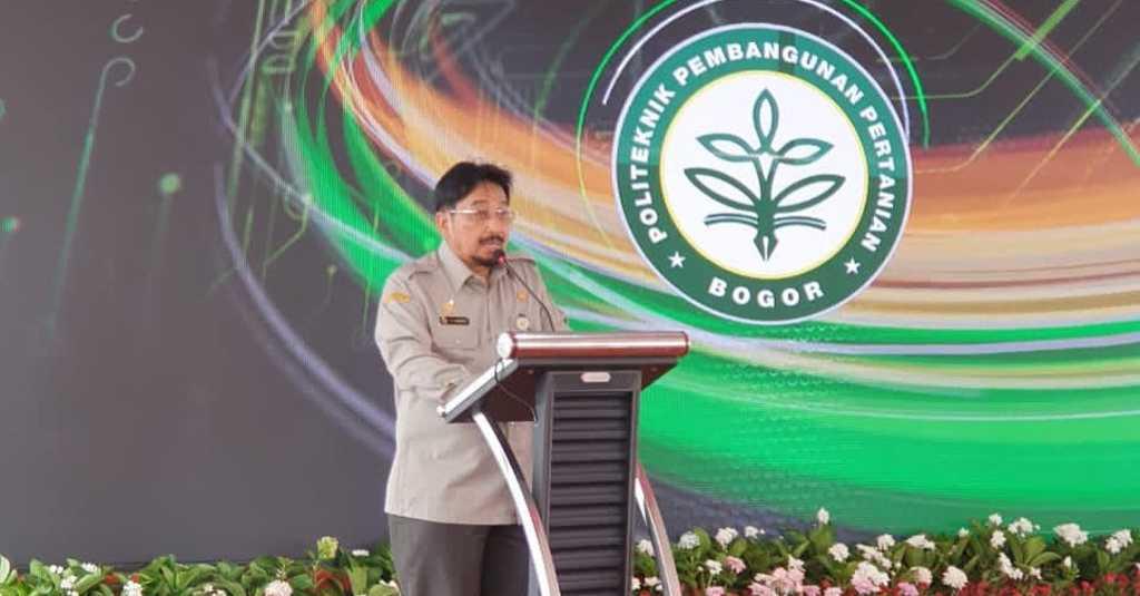 Minggu ini Food Estate Pulang Pisau Panen Raya