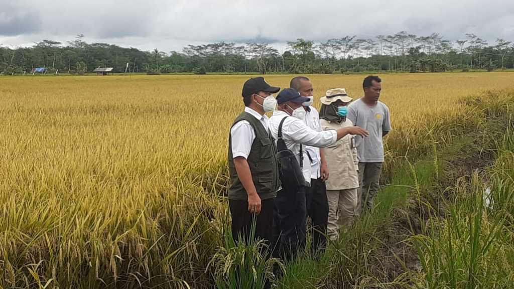 Pemda Kalteng Apresiasi Dukungan Penuh Pemerintah Pusat untuk Food Estate