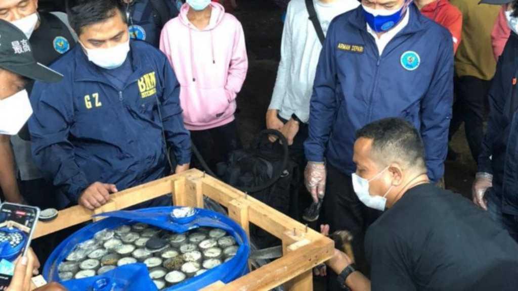 BNN Bongkar Penyelundupan 450 Kg Ganja 'Lemang' di Parung Bogor