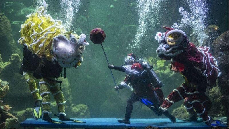 Libur di Rumah Saja, Intip Tempat yang Bisa Dikunjungi Secara Virtual