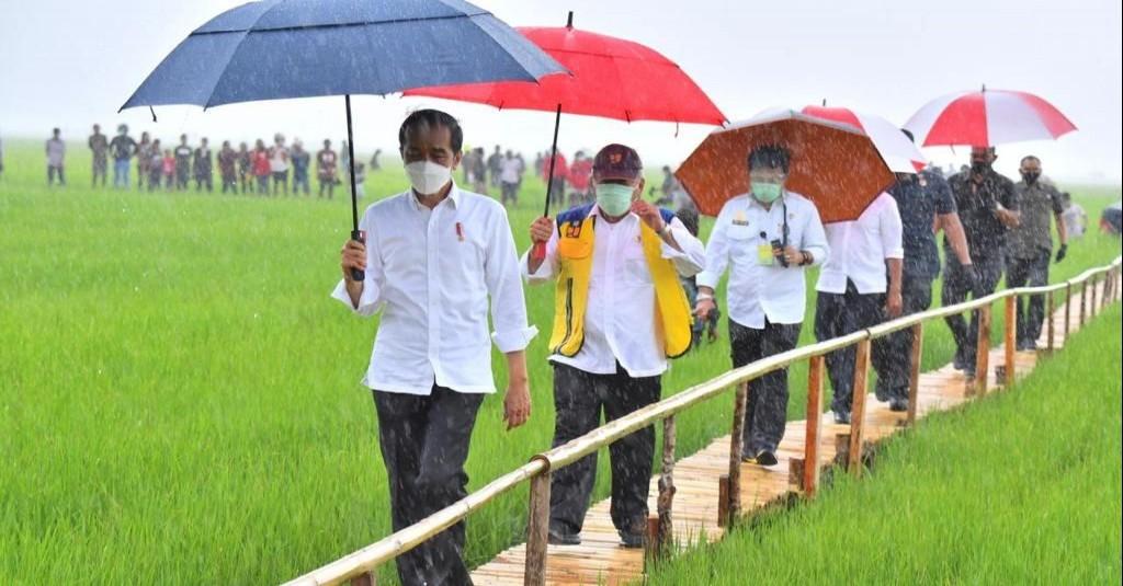 Bela Jokowi Soal Kerumunan, Ruhut: Presiden Ajak Masyarakat di Sana Pakai Masker