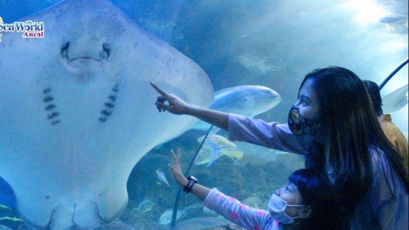 Perhatikan 4 Hal Penting Ini Jika Kamu Ingin Liburan di Ancol saat PPKM