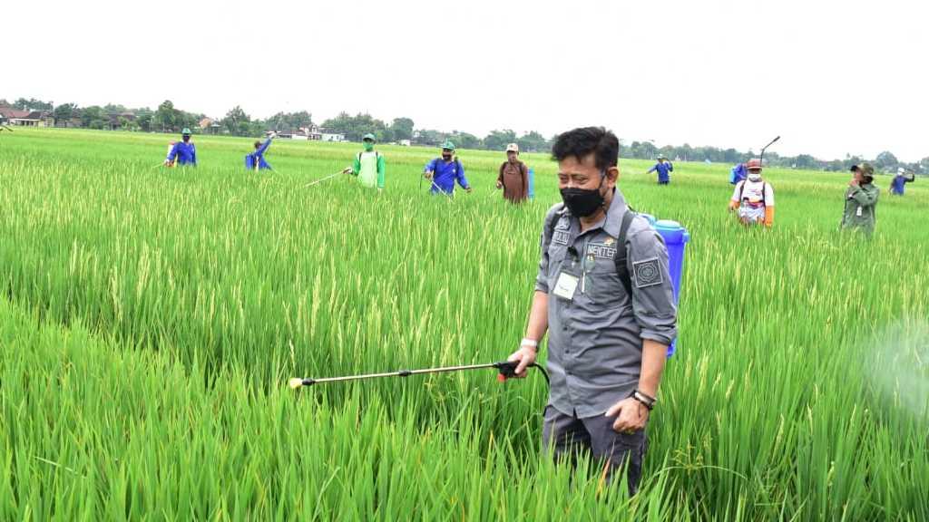 Perkuat Perekonomian, Mentan SYL Gerakan Padat Karya di Karanganyar