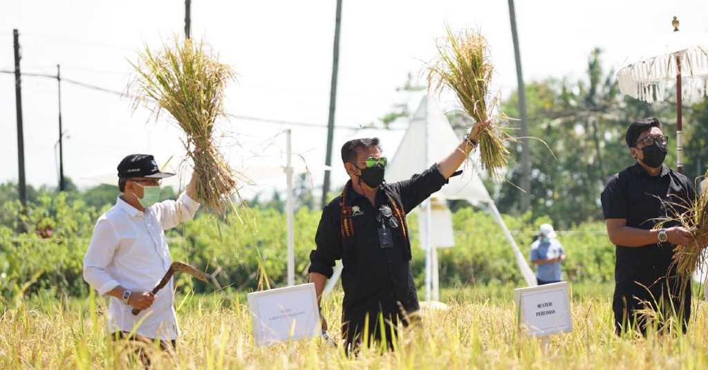 Panen Raya, Kementan Minta Semua Pihak Waspada dan Optimalkan Penyerapan