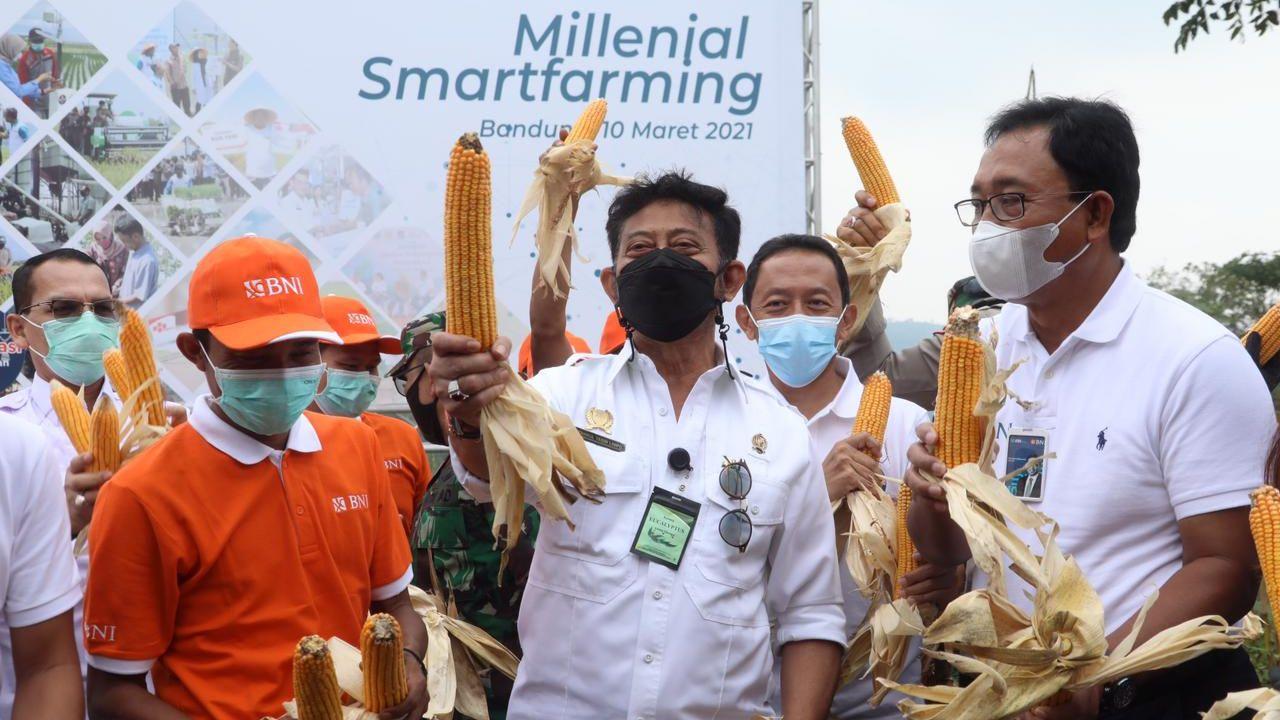 Kolaborasi Kementan-BNI Bangun Ekosistem 'Smartfarming'