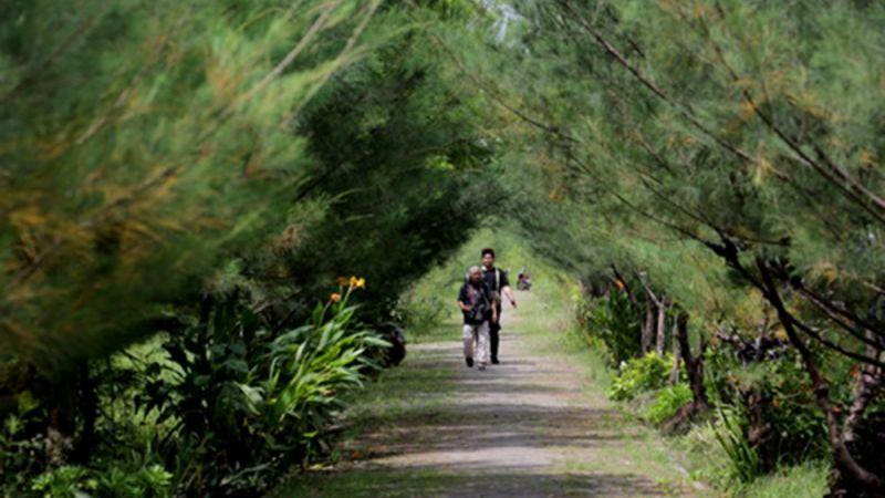 Siap-siap, Surabaya Bakal Punya Wisata Hutan Kota!