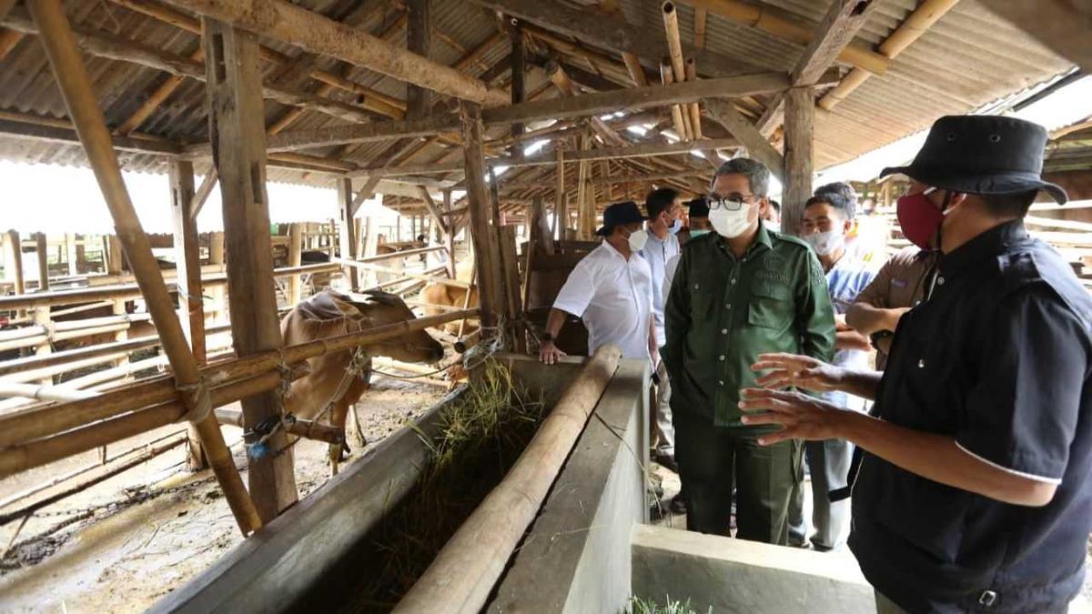 Kementan Fasilitasi Industrialisasi Peternakan NTB