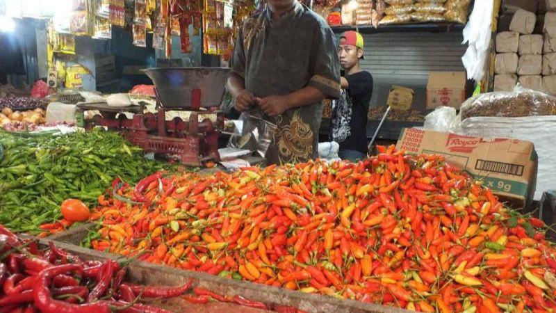 Redam 'Pedasnya' Harga Cabai, Warga Diimbau Tanam Sendiri