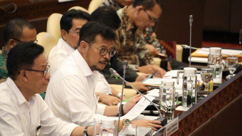 Raker DPR, Mentan Paparkan Strategi Kementan Amankan Stok Pangan Jelang Ramadan