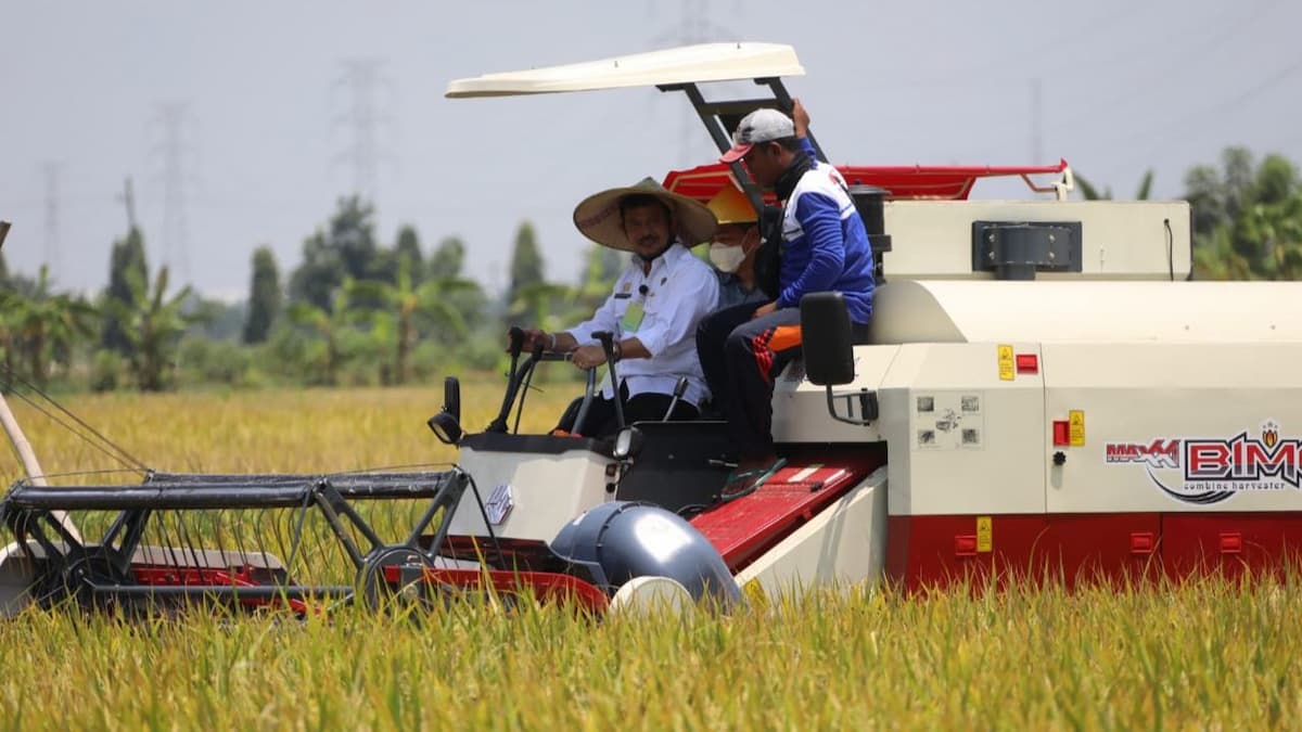 Panen Raya di Depan Mata, Mentan Minta Kostraling dan Bulog Bekerja Optimal