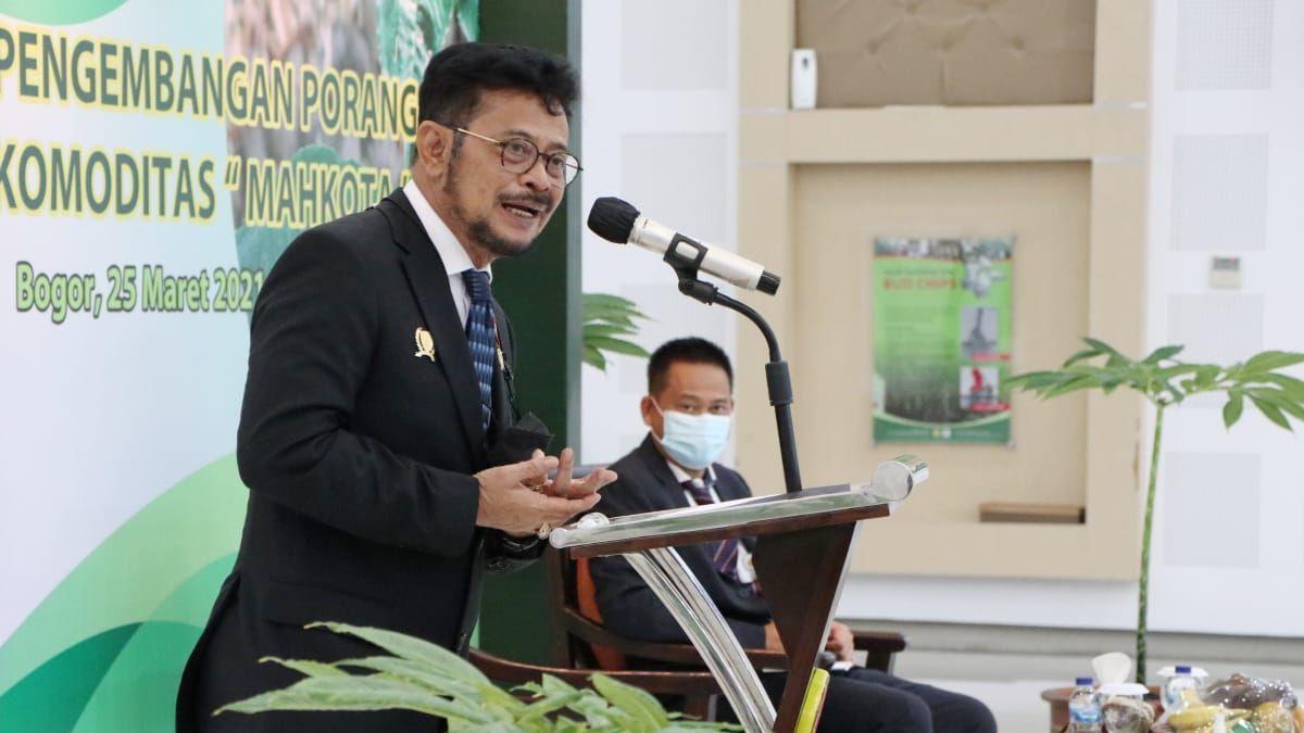 Porang, Komoditas Unggulan Penuh Potensi