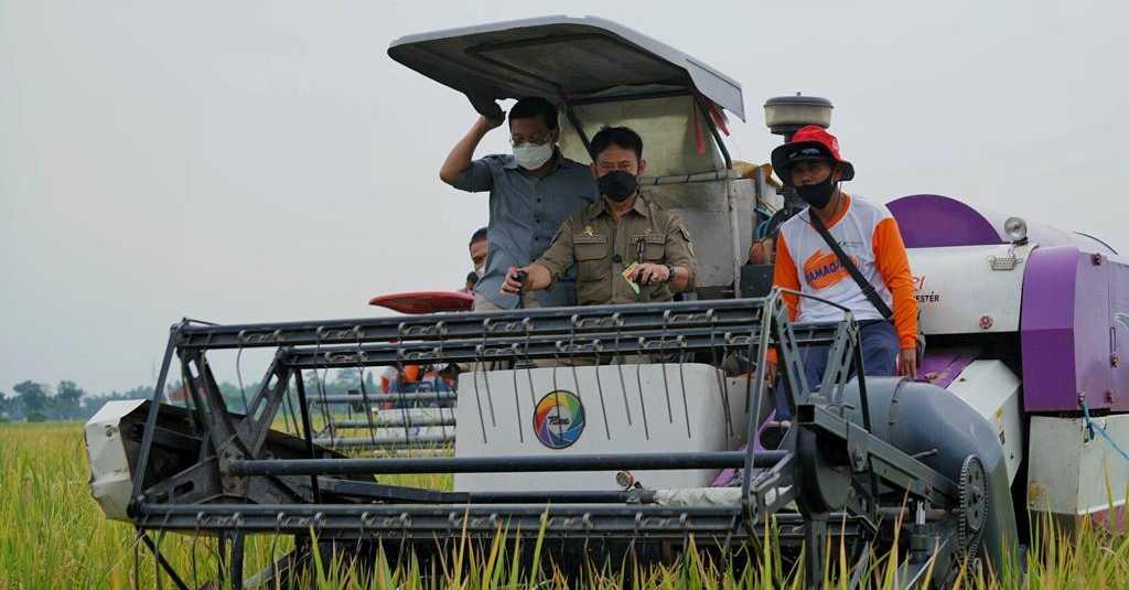 Gerakan Serap Gabah Optimalkan Stok Beras dan Stabilitas Harga