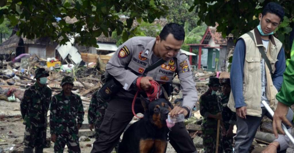 Kepala BNPB: Pencarian Jenazah Korban Bencana di NTT Terbantu Anjing K9