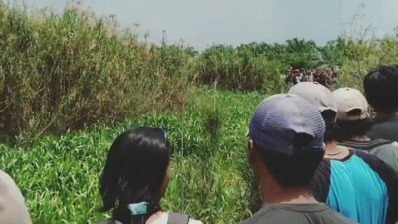 Umar Hilang Saat Mencari Rumput, Dugaan Sementara Diterkam Buaya