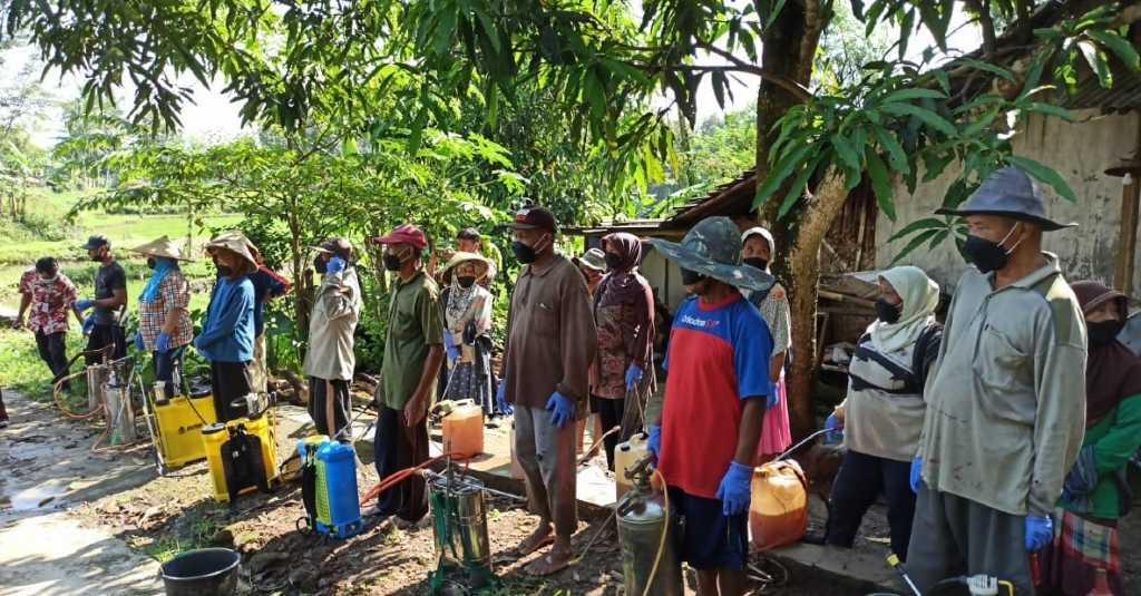 Kendalikan Blas dan Walang Sangit, Kementan Dorong Gerdal Ramah Lingkungan