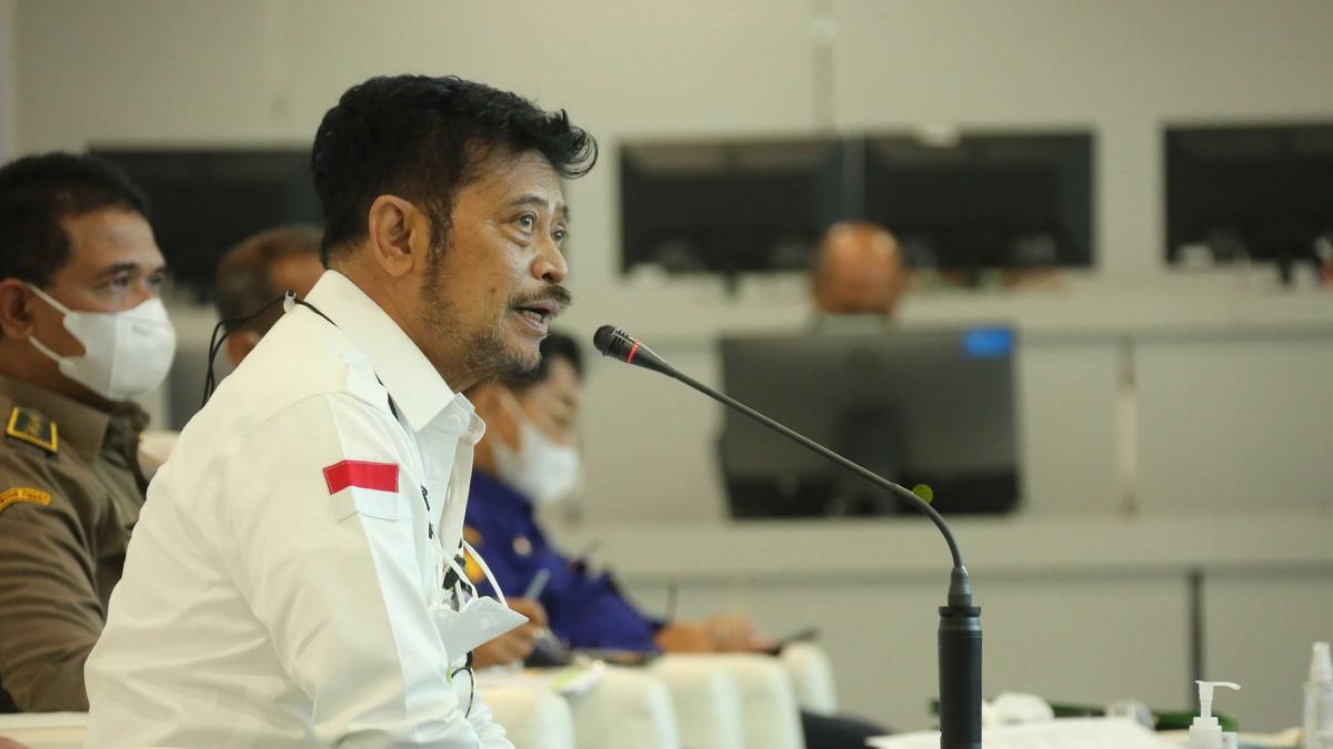 Stabilkan Harga Gabah, Kementan Gelar Rakor Bersama Stakeholder dan Kepala Dinas Se-Indonesia