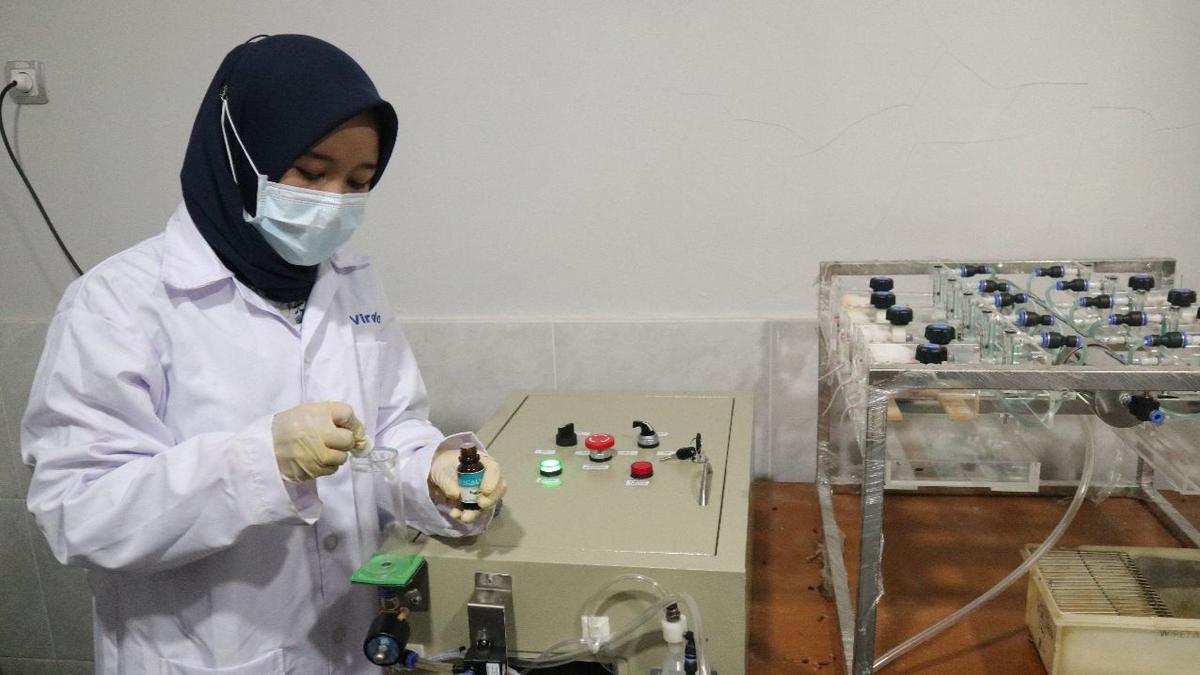 Produk Eucalyptus Balitbang Kementan Berhasil pada Uji Klinis SARS-CoV2