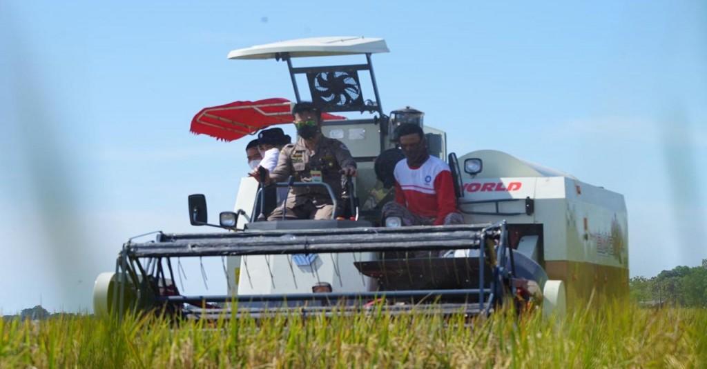 Kemenko Perekonomian: Anggaran Pertanian Harus Diperkuat, Jadi Motor Penggerak Perekonomian