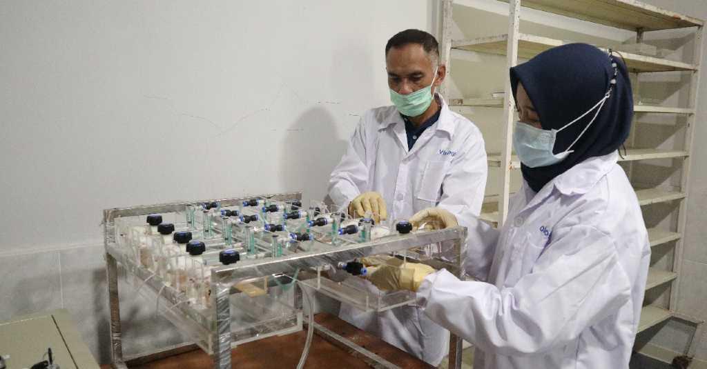 IDI Pusat Apresiasi Produk Eucalyptus Kementan