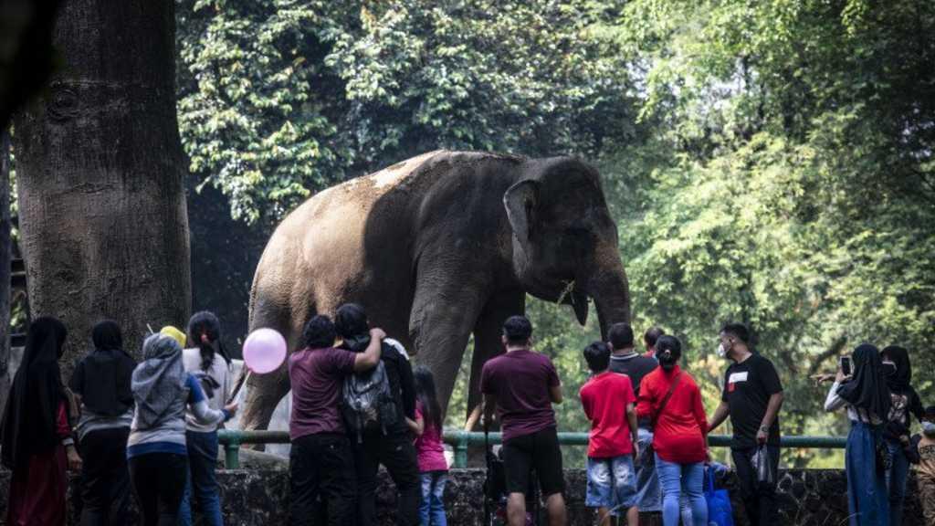 Libur Lebaran, Taman Margasatwa Ragunan Didatangi Ribuan Wisatawan