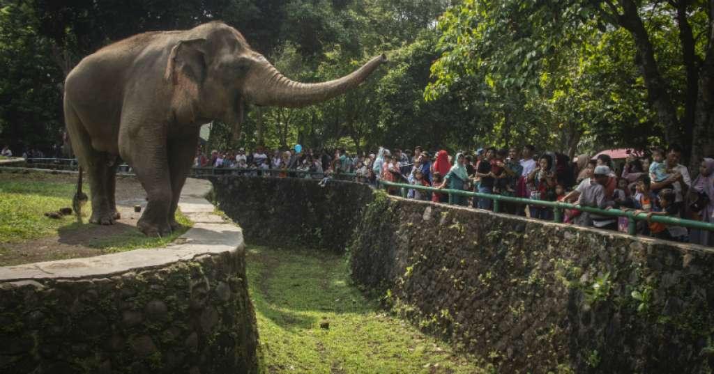 Ancol, Taman Margasatwa Ragunan, dan TMII Ditutup Hingga 17 Mei 2021