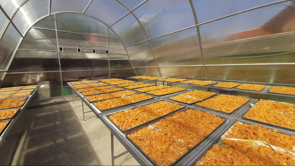 Solar Dryer Dome Tingkatkan Nilai Tambah Produk Hortikultura Petani