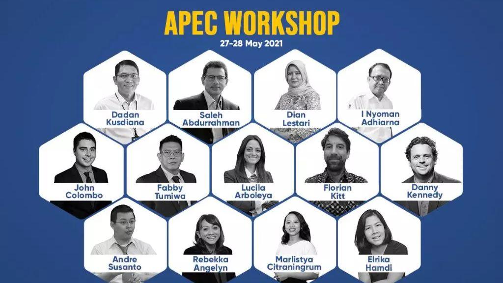 Buka Workshop APEC, Dirjen EBTKE: Startup Energi Dorong Kemajuan Industri Lokal
