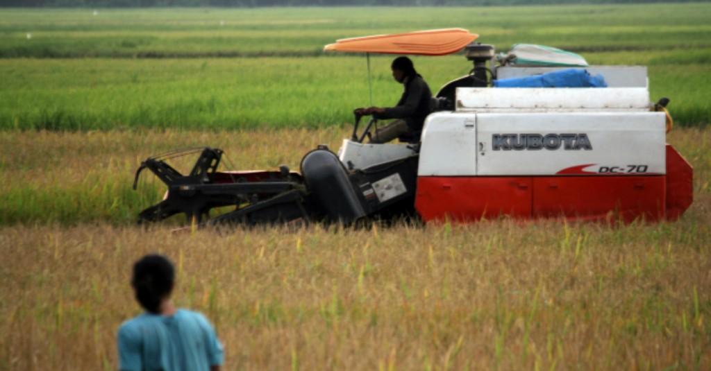 Produksi Melimpah, Wakil Bupati Bulukumba Gerak Cepat Optimalkan Serap Gabah Petani