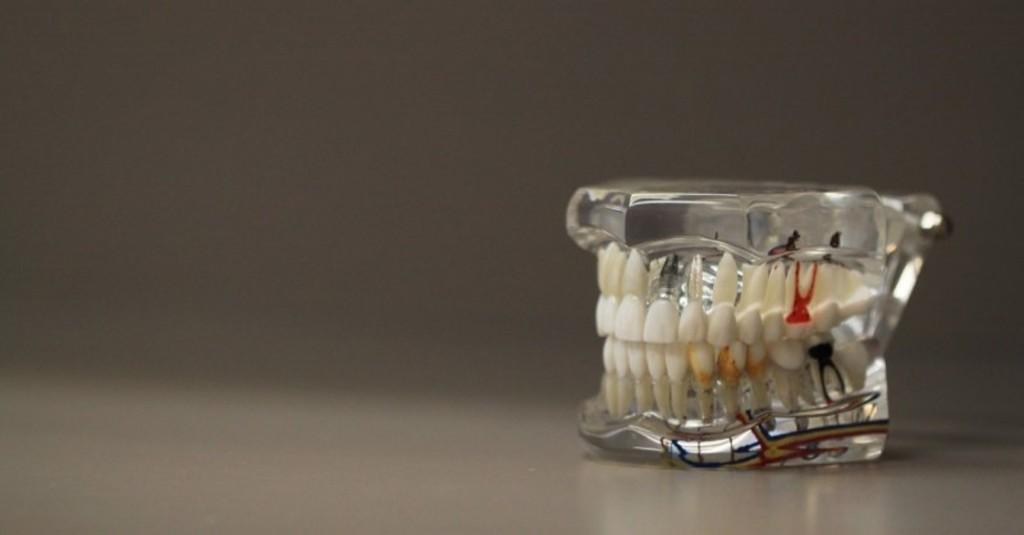 Mengunyah Makanan Sebaiknya Seimbang di Kedua Sisi Mulut, Kata Dokter