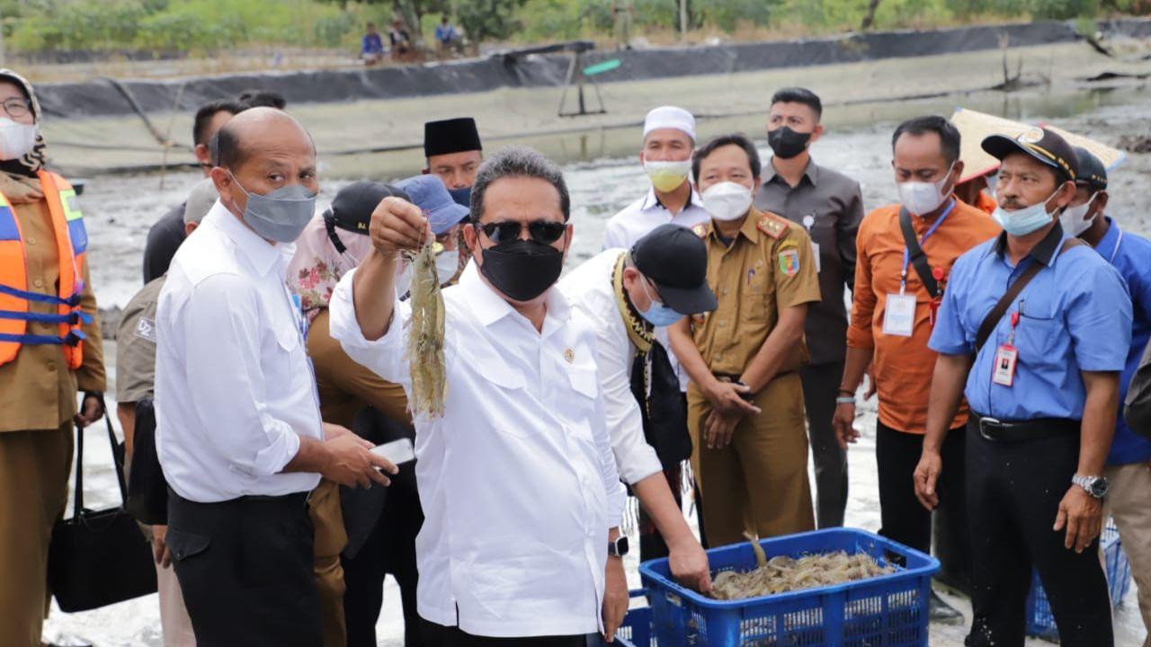 Menteri Trenggono Siapkan Jurus Sakti untuk Bangkitkan Tambak Udang Dipasena