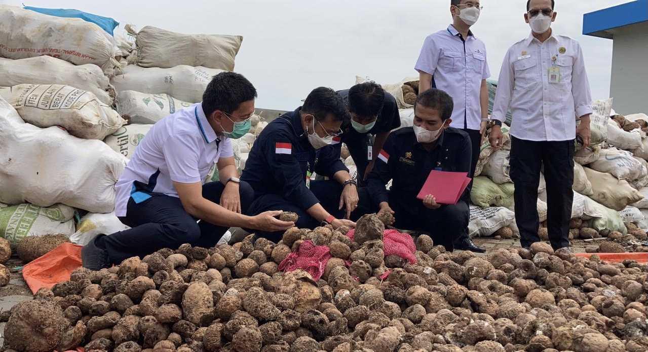 Komisi IV Apresiasi Kementan dan Mendorong Semakin Menggeliat Budidaya Porong di Jawa Timur