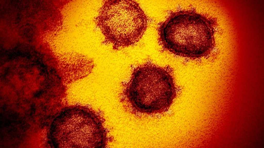 Terbaru! Wabah Virus Corona Pernah Terjadi di Asia Timur Selama 20 Ribu Tahun