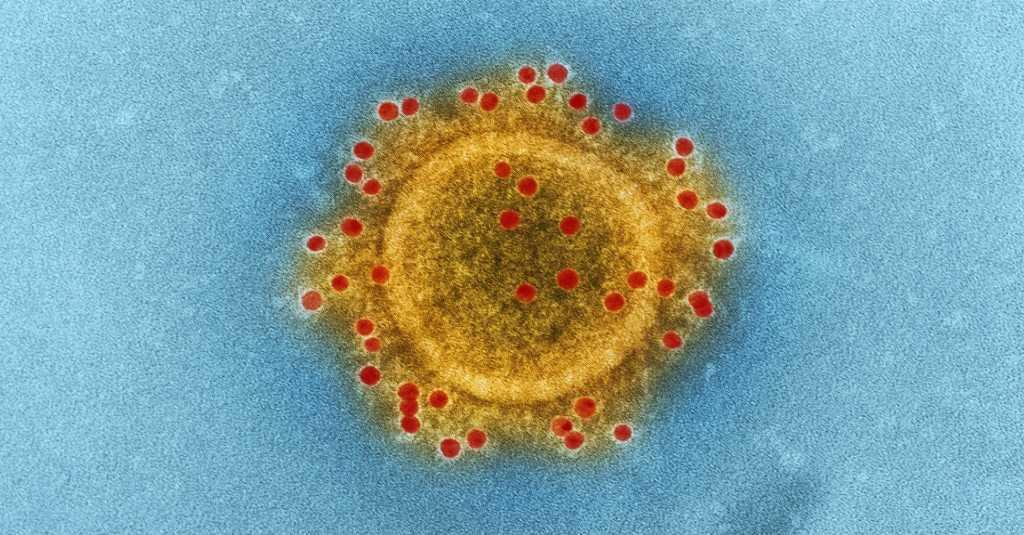 Kasus COVID-19 Terus Meningkat di NTT, Ada Dugaan Akibat Penyebaran Varian Delta