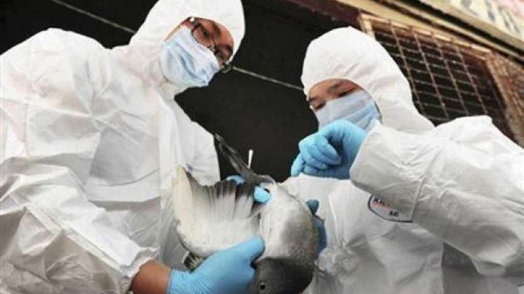 Pandemi Belum Berakhir, China Sudah Laporkan Kasus Flu Burung H5N6 pada Manusia