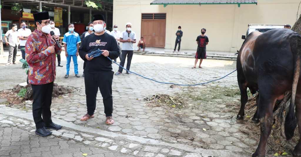 Menteri Halim Menyerahkan Sapi Qurban ke Takmir Masjid Al-Muhajirin