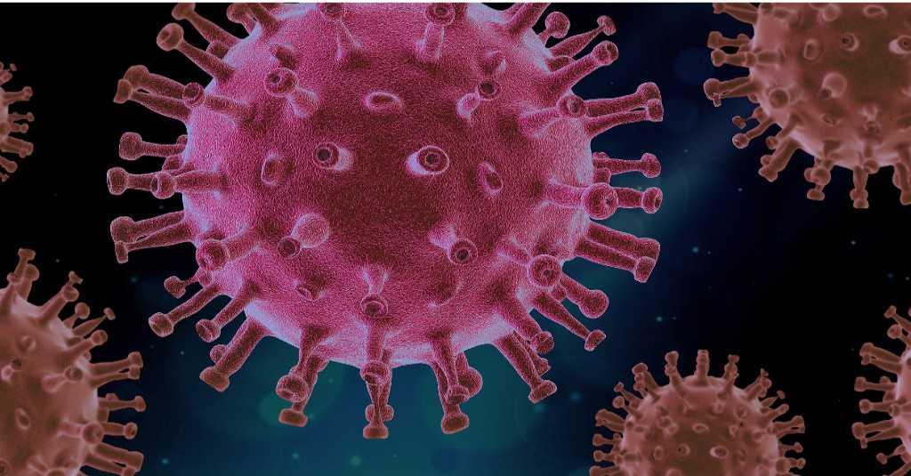 Tak Disangka, Ternyata Begini Awal Munculnya Virus Varian Baru