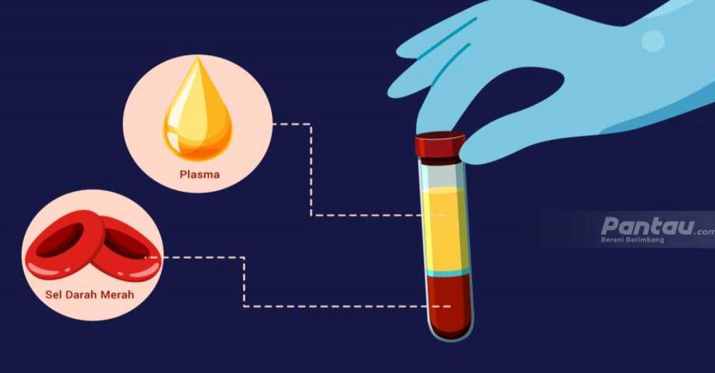 Duh Tega Banget, Ada Oknum Jadikan Donor Plasma Konvalesen Sebagai Modus Penipuan untuk Raih Cuan
