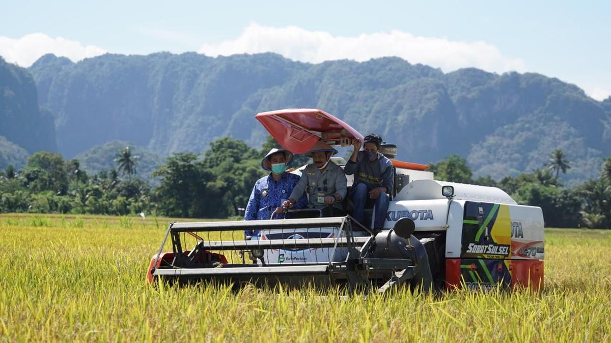 Tekan Impor, Produksi Pangan Dalam Negeri Penuhi Kebutuhan Nasional