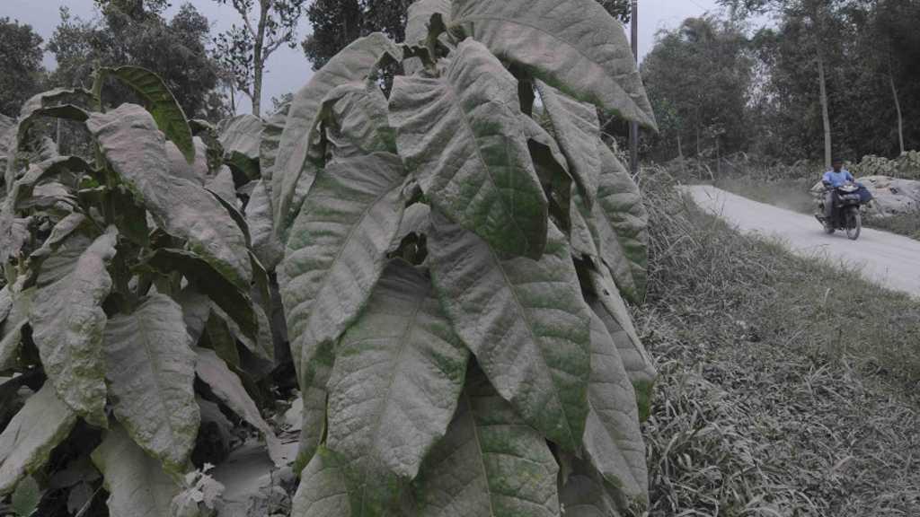 Hujan Abu Gunung Merapi Guyur Sejumlah Wilayah di Kabupaten Magelang